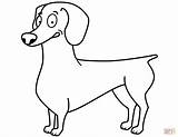 Funny Dachshund coloring page  Free Printable Coloring Pages sketch template
