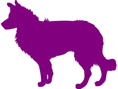 Border Collie Silhouette | Free vector silhouettes