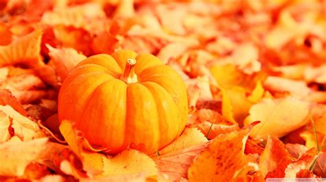 Fall Leaves And Pumpkin Wallpaper