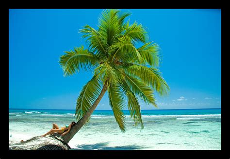 Saona Island beach 1 by martinshiver on DeviantArt