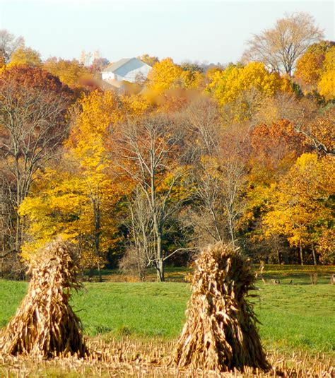 Viewing the leaves in Ohio’s Amish country