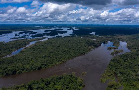 #PrayforAmazonia: Photos of Amazon Rainforest Fire Show Devastation of One of World's Largest ...