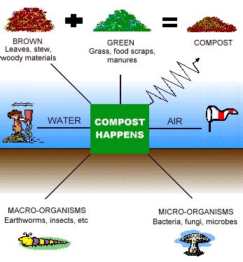 Overview of Composting Methods | EcoMENA