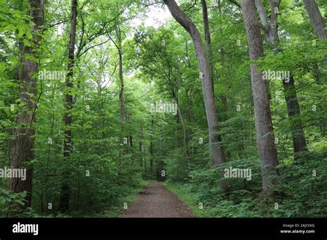 Hiking Trails in Virginia Stock Photo - Alamy