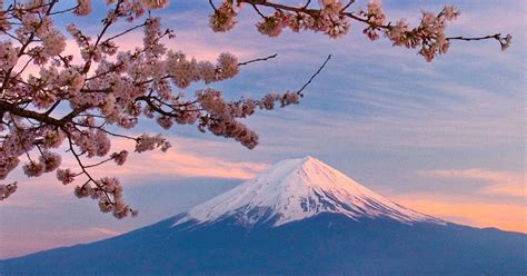 Gambar Sketsa Pemandangan Gunung Fuji - Pariwisata Dunia