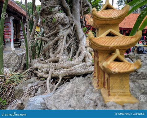 Vietnam temples stock photo. Image of history, city - 100897246