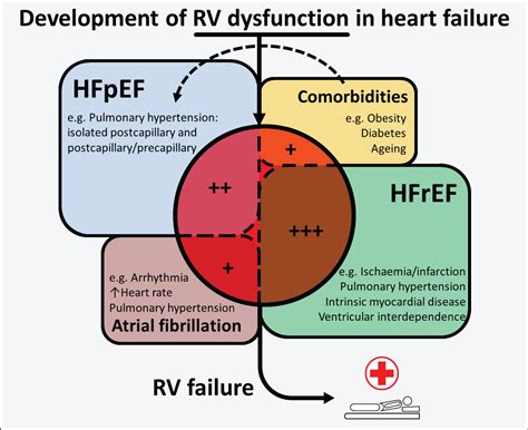 Right ventricular dysfunction in heart failure with reduced vs ...