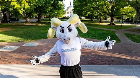 The story of Rameses | UNC-Chapel Hill