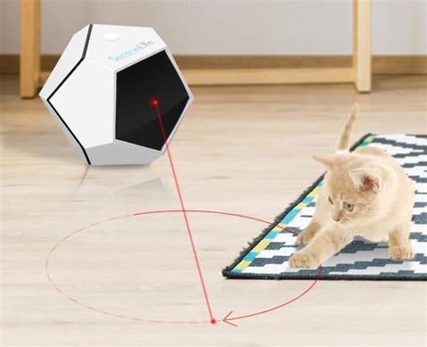 Cat Laser Toys | The 13 Best Cat Laser Toys for Fun, Exercise, and Safety