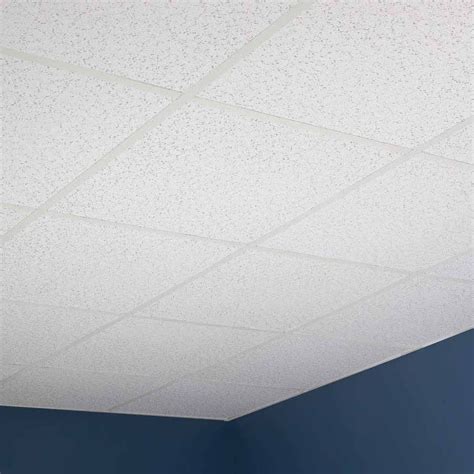 Genesis Printed Pro Ceiling Tiles - ACP Professional