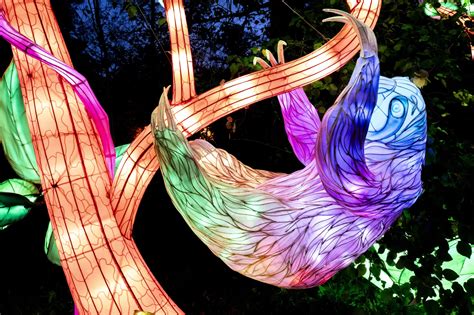 How to See the Wild Lights at Riverbanks Zoo & Garden in Columbia, SC ...