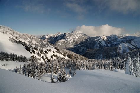 WanderingAway.com : Snowshoeing Hurricane Ridge