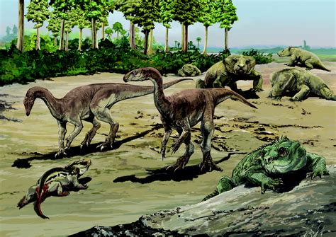 Dinossauro brasileiro ajuda a entender evolução de gigantes herbívoros ...