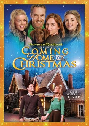 Coming Home for Christmas (Film, 2013) - MovieMeter.nl