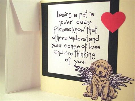 pet angel Sympathy Card Sayings, Sympathy Messages, Cat Sympathy ...