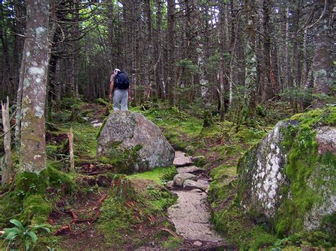 Hiking in the White Mountains and Adirondacks: Willey Range with Lee and Dion