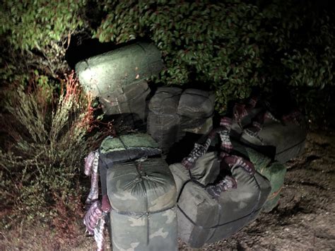 Border Patrol Finds 244 Pounds Of Pot In San Diego's East County | San ...