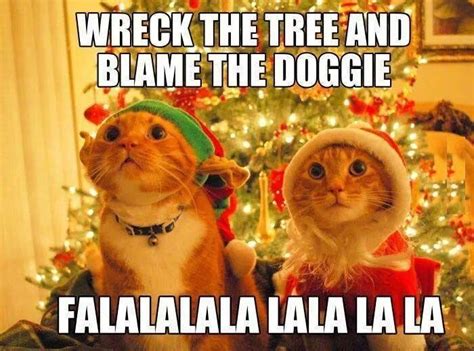 18 Christmas Memes To Make Your Holiday Funnier | Funny christmas ...