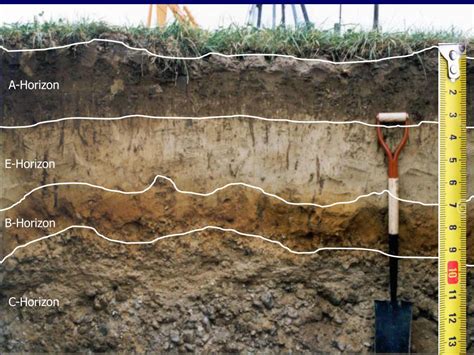 PPT - The Soil Profiles and Soil Profile Description (Soil pits, Road cuts, Other excavations ...