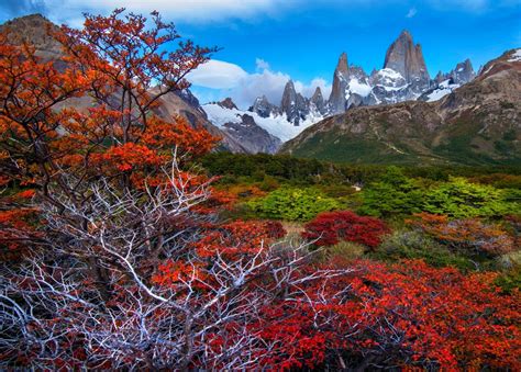 Fondos de pantalla : Árboles, paisaje, bosque, otoño, montañas ...