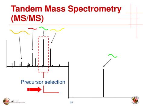 PPT - Proteomics & Mass Spectrometry PowerPoint Presentation, free download - ID:3574636