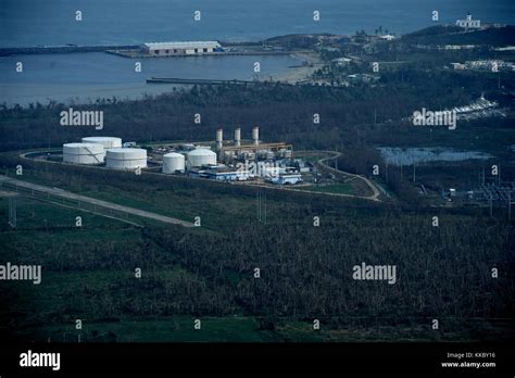 Aerial view of damaged forest land in the aftermath of Hurricane Maria September 26, 2017 in ...