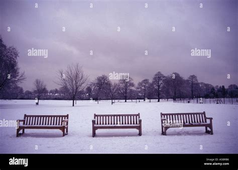 Three empty benches Winter in Dulwich Park South East London England UK Stock Photo - Alamy