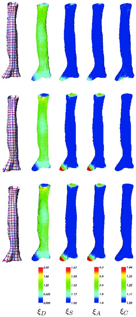 8: A visualization of the parameterization of a trachea surface and the ...