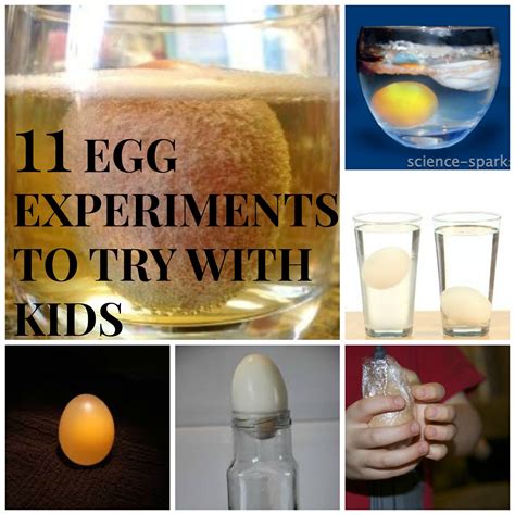 11 Science Experiments with egg you must try with your kids | Egg ...