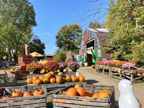 46 Local Fall Activities: West Michigan’s Best PRINTABLE Bucket List ...