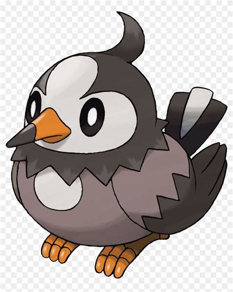 Starly Black And White Bird Pokemon | Arte pokemon, Pokemon pokedex, Pokémon desenho