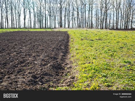 Loose Soil Before Image & Photo (Free Trial) | Bigstock