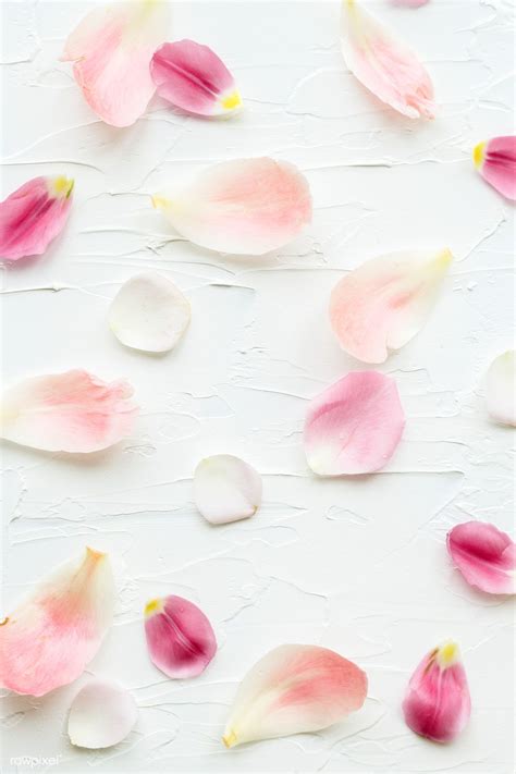 Colorful flower petals background design | premium image by rawpixel ...