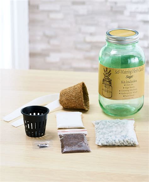 Self-Watering Herb Grow Kits | Grow kit, Self watering, Herbs