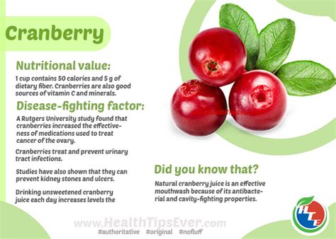 Cranberry Health Benefits with Infographics – Health Tips Ever Magazine