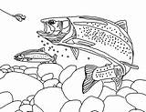 Coloring Page World Rainbow Trout Landscape  Fish coloring sketch template