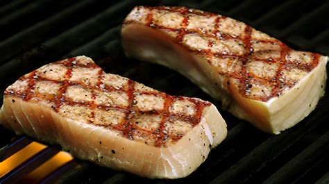 Grilled Shark Marinade Recipes | Besto Blog