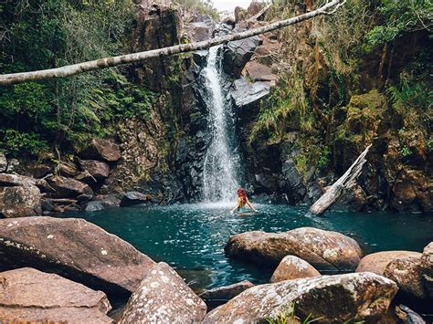 Unique Things To Do In Townsville | Discover Queensland | Discover ...