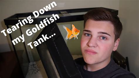 Removing my Goldfish Tank... :( - YouTube