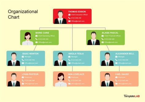 40 Organizational Chart Templates (Word, Excel, Powerpoint) Inside Organogram Template Word Free ...