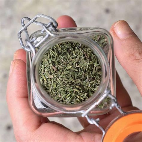 How To Dry Thyme (3 Methods) - Alphafoodie