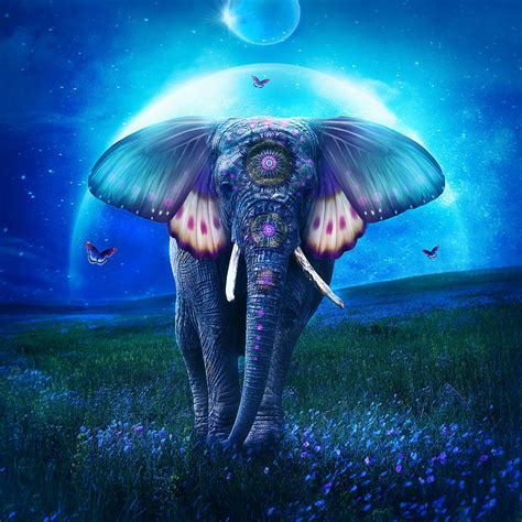 Elephant Digital Art by Jessica Allain