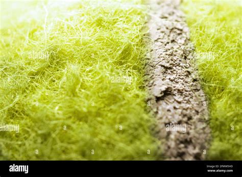 Extreme Closeup Of Tennis Ball Material Stock Photo - Alamy