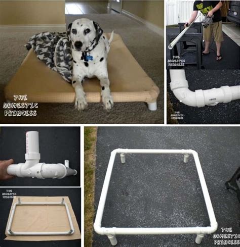 PVC Dog Frame Raised Bed Easy Video Instructions | Diy dog bed, Easy dog bed, Raised dog beds