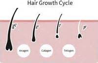 Hair loss - a sign of aging? | Easier