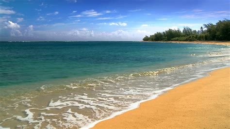 Free Wallpaper Hawaii Beach Scenes - WallpaperSafari