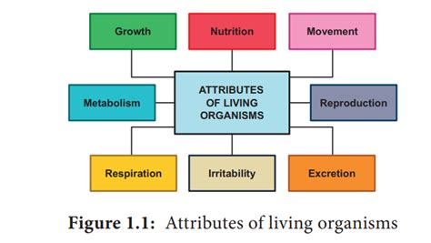 Attributes of living organisms - Botany