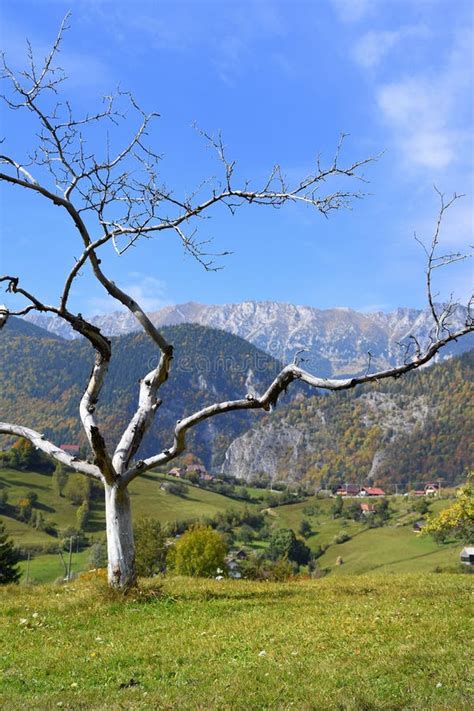 Romania Transylvania Mountains Stock Image - Image of park, panorama: 79774361