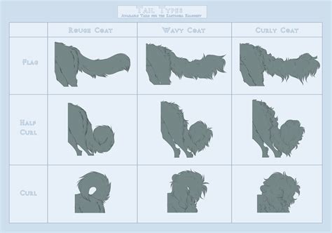 Tail Types by NorthernHounds on DeviantArt