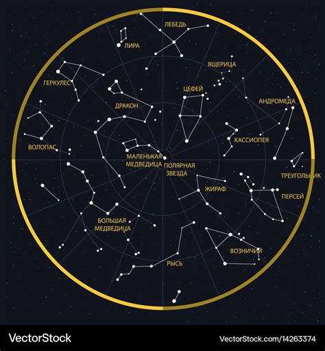 Night sky with constellations Royalty Free Vector Image